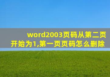 word2003页码从第二页开始为1,第一页页码怎么删除