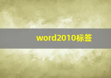 word2010标签