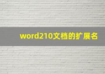 word210文档的扩展名