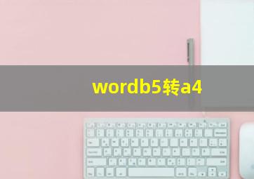 wordb5转a4