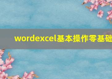 wordexcel基本操作零基础