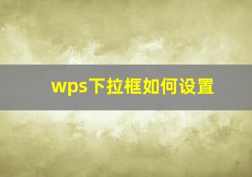 wps下拉框如何设置