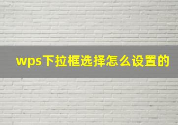 wps下拉框选择怎么设置的