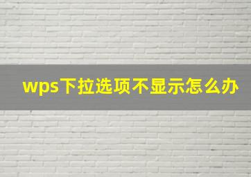 wps下拉选项不显示怎么办