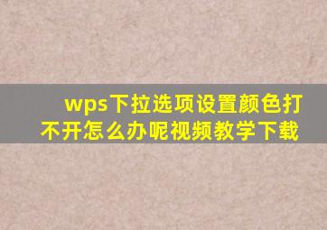 wps下拉选项设置颜色打不开怎么办呢视频教学下载