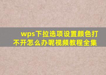 wps下拉选项设置颜色打不开怎么办呢视频教程全集