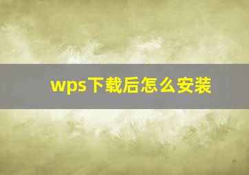 wps下载后怎么安装