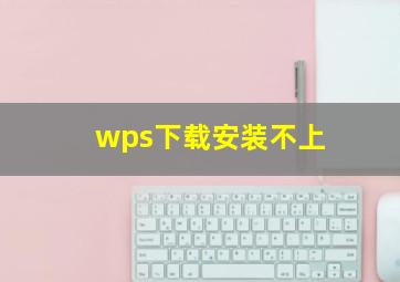 wps下载安装不上