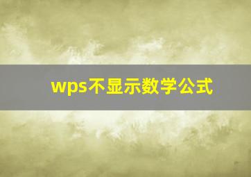 wps不显示数学公式