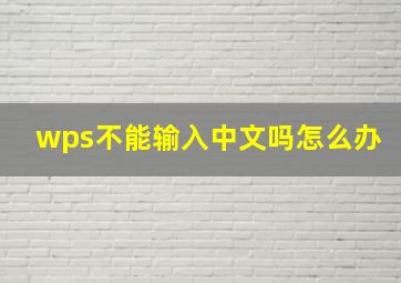 wps不能输入中文吗怎么办