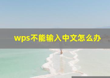 wps不能输入中文怎么办