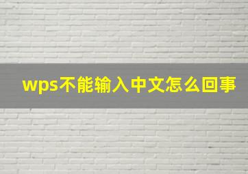 wps不能输入中文怎么回事