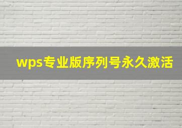 wps专业版序列号永久激活