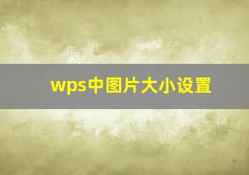 wps中图片大小设置