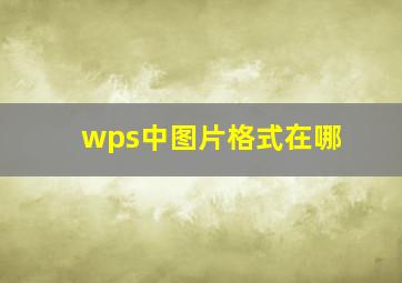 wps中图片格式在哪