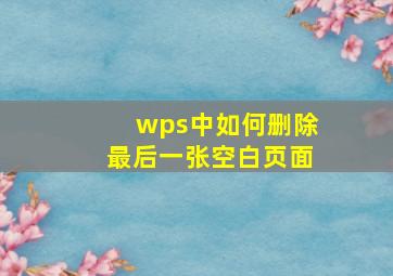 wps中如何删除最后一张空白页面