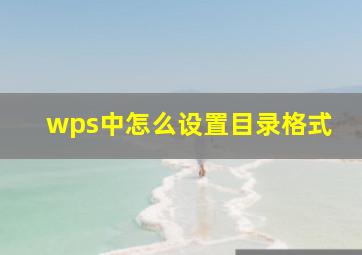 wps中怎么设置目录格式