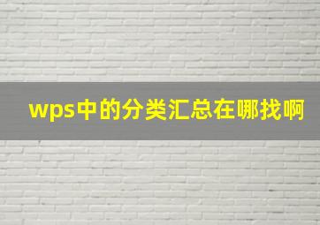 wps中的分类汇总在哪找啊