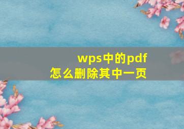 wps中的pdf怎么删除其中一页