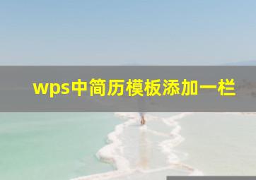 wps中简历模板添加一栏