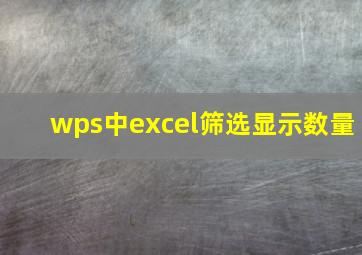 wps中excel筛选显示数量