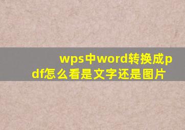 wps中word转换成pdf怎么看是文字还是图片