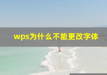 wps为什么不能更改字体