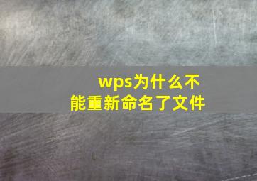 wps为什么不能重新命名了文件