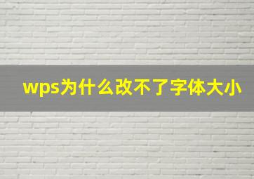 wps为什么改不了字体大小