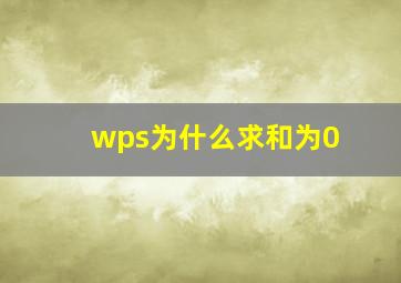 wps为什么求和为0