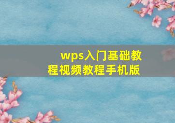 wps入门基础教程视频教程手机版