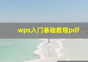 wps入门基础教程pdf