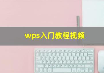 wps入门教程视频