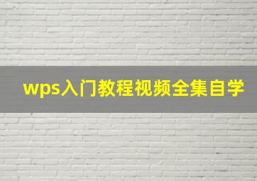 wps入门教程视频全集自学