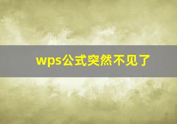 wps公式突然不见了