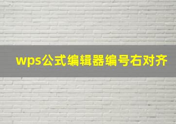 wps公式编辑器编号右对齐