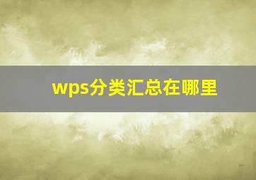 wps分类汇总在哪里