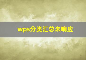 wps分类汇总未响应