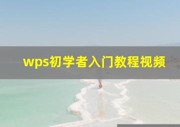 wps初学者入门教程视频