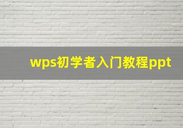 wps初学者入门教程ppt