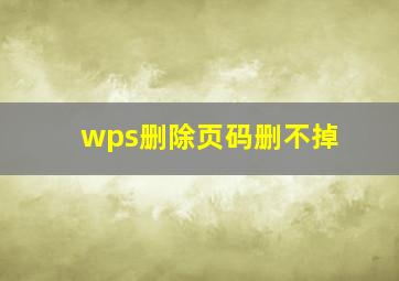 wps删除页码删不掉