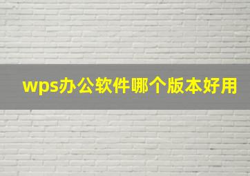 wps办公软件哪个版本好用