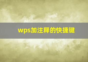 wps加注释的快捷键