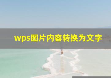 wps图片内容转换为文字