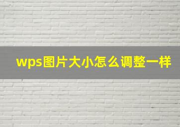 wps图片大小怎么调整一样