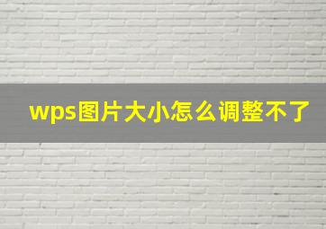 wps图片大小怎么调整不了