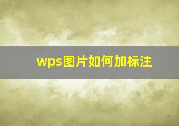 wps图片如何加标注