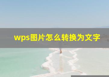 wps图片怎么转换为文字