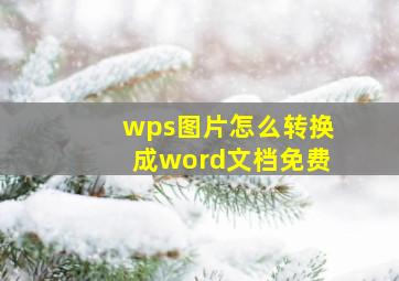 wps图片怎么转换成word文档免费