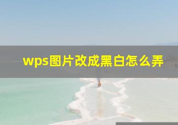 wps图片改成黑白怎么弄